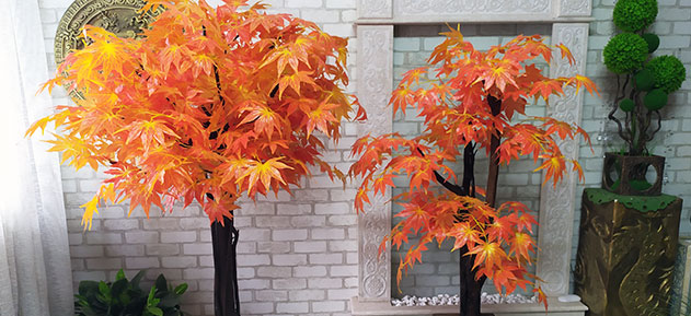 Decorative maple tree with autumn leaves, buy for a restaurant in the USA, Canada