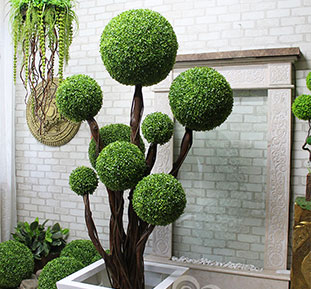 Decorative tree from boxwood balls for the interior of a furniture store, Germany, Austria, Switzerland, Denmark