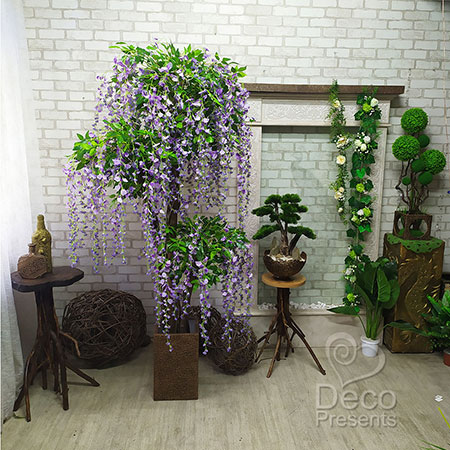 Triple tree of flowers Wisteria height 200 cm, buy in the USA, Canada, UK, Australia, Singapore