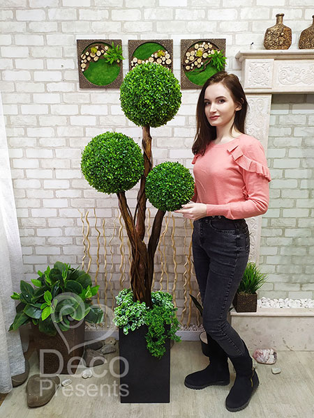 Buy an artificial tree made from boxwood balls, Germany, Austria, Switzerland