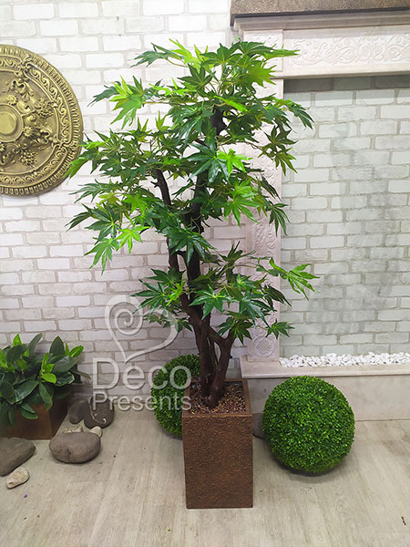 Maple tree Chinese decorative bonsai, buy for cafe interior, USA, Canada, Singapore