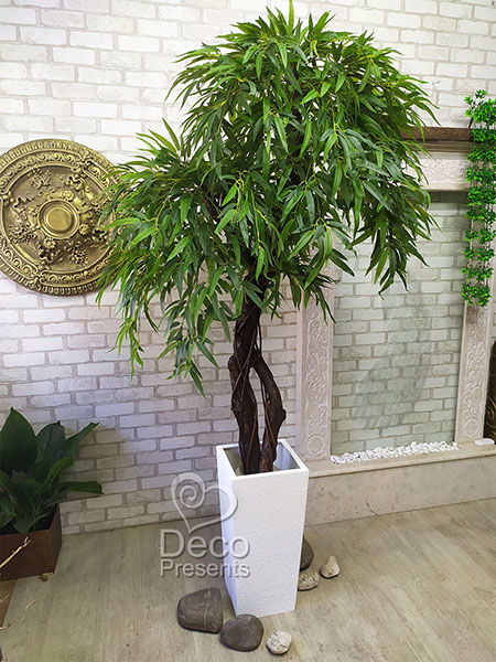 Willow decorative in a white flowerpot, tree height 2.2 meters