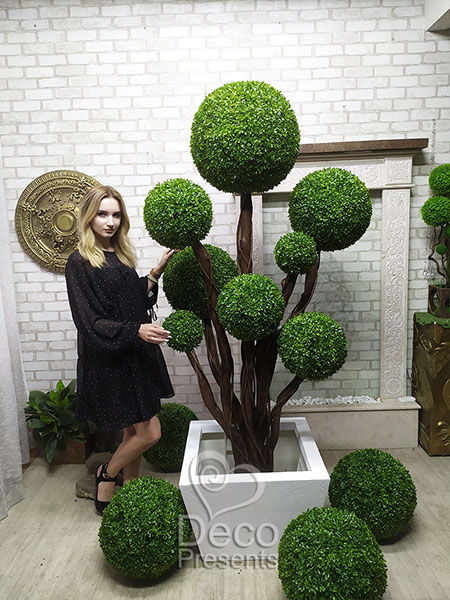 Decorative tree of eight boxwood balls height 2.3 meters