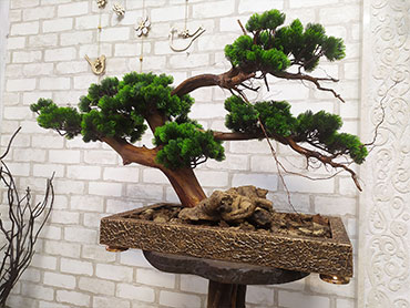 Buy artificial bonsai for cafe interior, USA, Canada, Australia