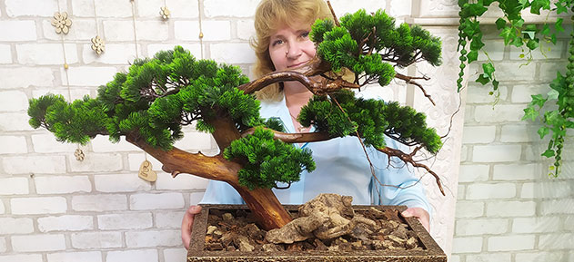 Buy artificial bonsai trees for office, Germany, Austria, Switzerland