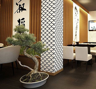 Buy decorative bonsai trees for a restaurant, USA, Canada, Australia