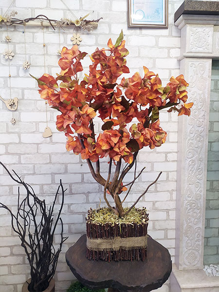 Buy decorative autumn bonsai for a restaurant, USA, Germany, Austria