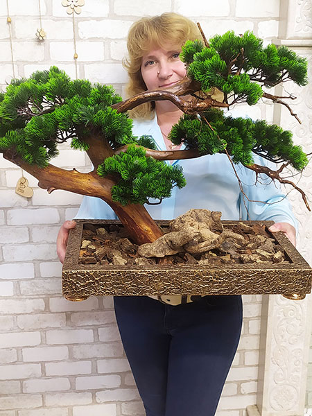 Buy decorative bonsai for office, Sweden, Switzerland