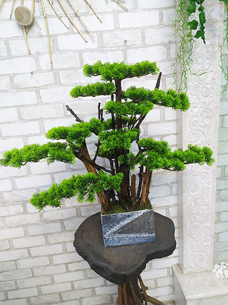 Buy artificial bonsai for the office, UK, USA, New Zealand