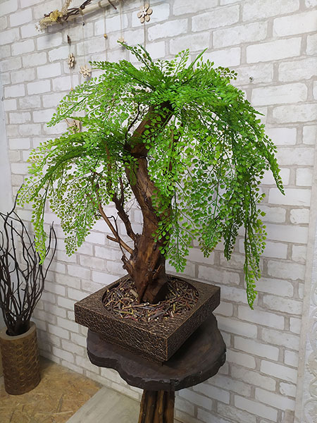 Buy decorative tree for shop interior, USA, Australia, Canada