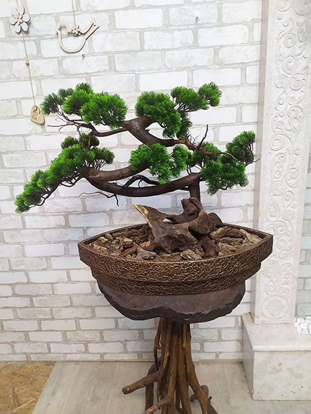 Buy decorative bonsai for cafe interior, Norway, Spain, France