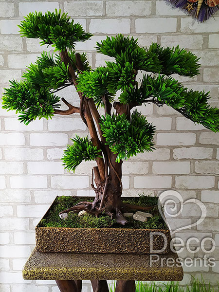 Buy decorative bonsai for cafes, USA, Canada, Australia