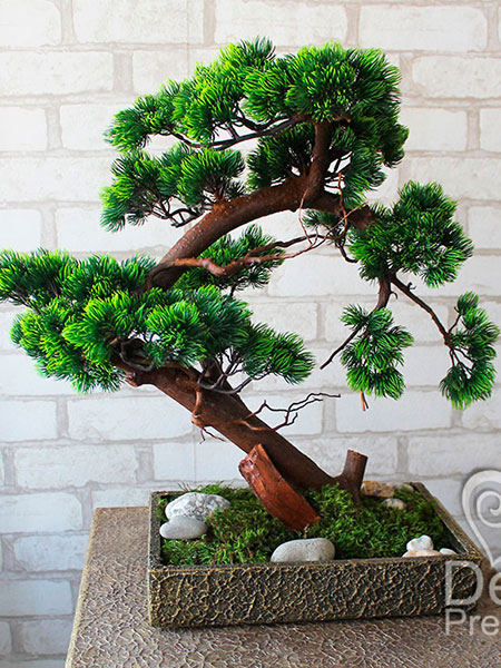 Buy decorative bonsai for a restaurant, USA, Germany, Austria