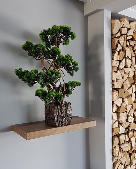 Buy decorative bonsai tree for shop interior, USA, Australia, Canada