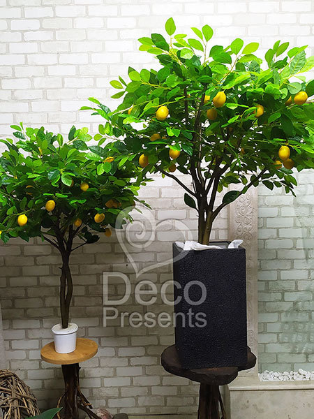 Buy decorative bonsai tree for cafe interior, Norway, Spain, France