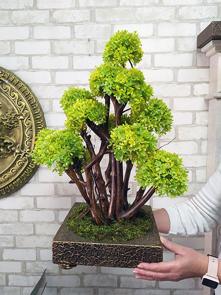 Buy decorative bonsai tree for cafe interior, Ireland, UK, Sweden