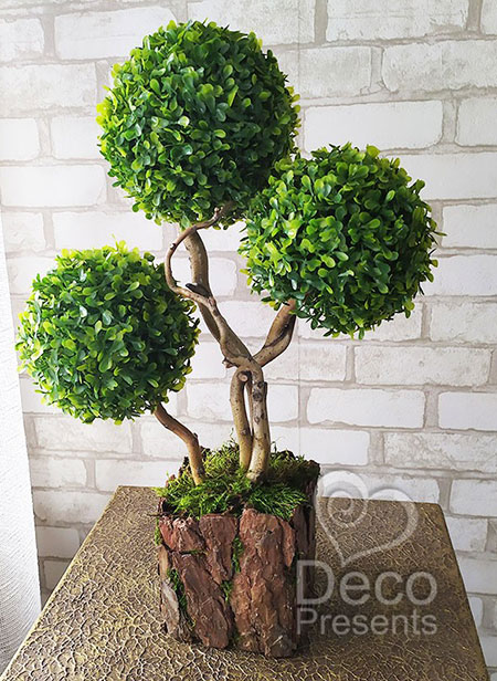 Buy decorative boxwood tree for office interior, USA, UK, Finland