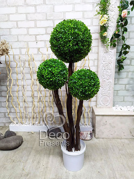 Buy decorative boxwood tree for salon, USA, UK, Qatar, UAE