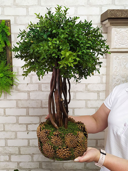 Buy artificial bonsai tree for restaurant interior, Australia, Sweden, Switzerland