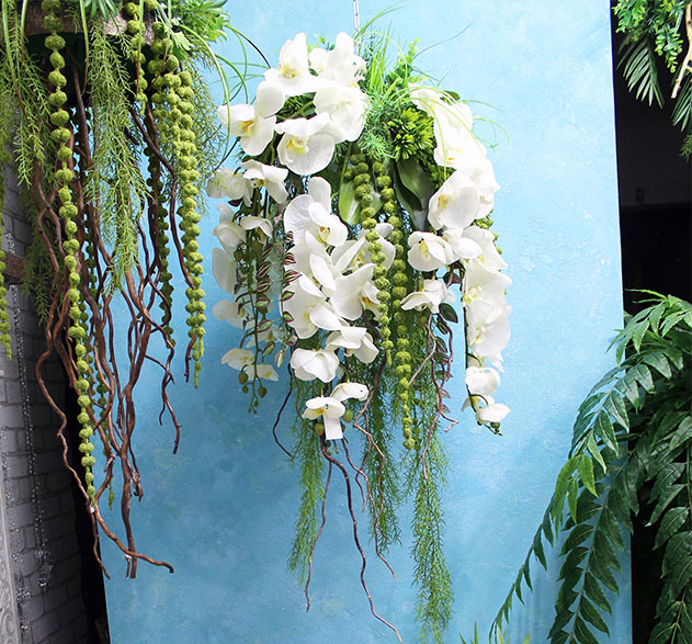 Buy wall decor from plants for interior cafe, New Zealand, UK, Belgium, Germany