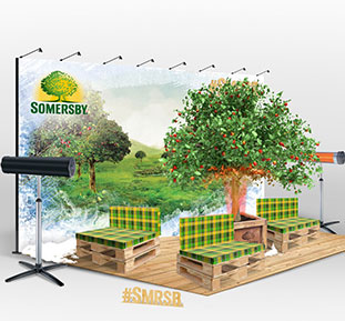 Big apple tree Somersby