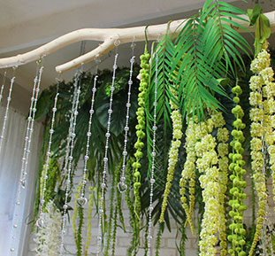 Artificial creepers and plants, buy for the interior of the cafe