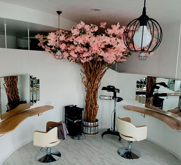 Buy a large flower tree for a beauty salon, Germany, Austria, Switzerland