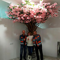 Decorative tree in a beauty salon, USA, Canada, Greece