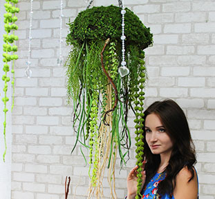 Decorative plant jellyfish, restaurant decor, USA, Australia, Singapore