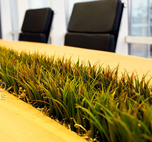 Buy artificial grass for office interior, UK, Ireland, Norway, Finland