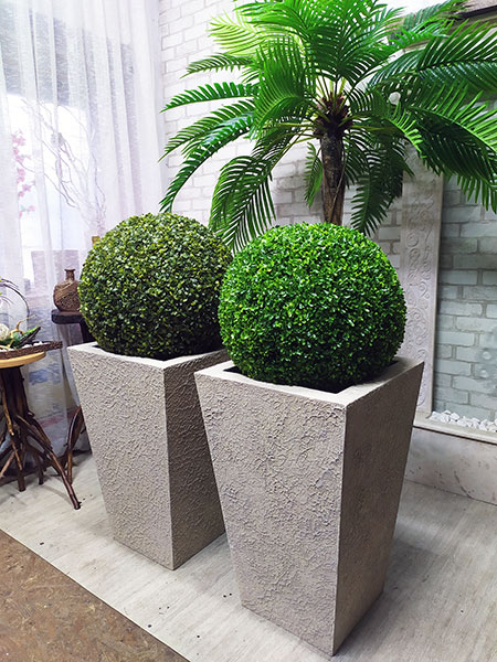 Decorative balls of boxwood in a flowerpot, buy in the USA, Canada, Switzerland