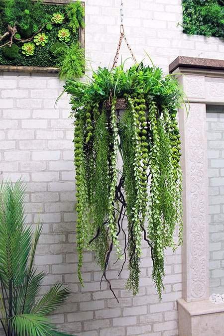 Hanging compositions from plants Jellyfish for cafe interior, buy in the Czech Republic, Slovakia, Poland
