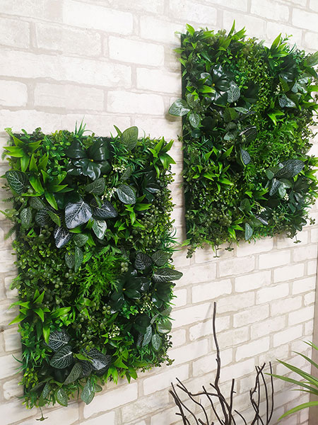 Decorative wall panels made of plants, buy in USA, Canada, Switzerland