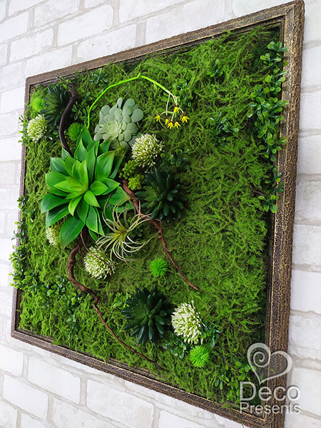 Pictures of artificial succulents and moss for studio, buy in USA, Canada, Switzerland