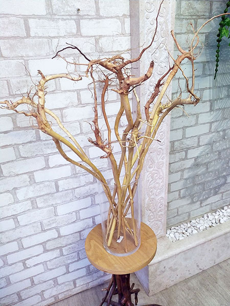 A set of natural wooden roots, natural driftwood for a vase, buy for restaurant interior