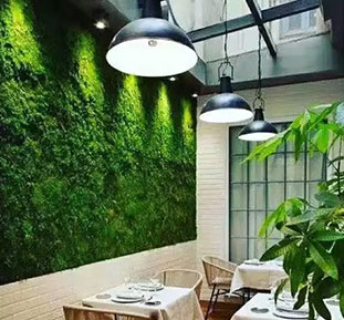 Phyto walls made of artificial plants and moss, buy for office in USA, Qatar, UAE, Singapore