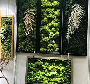 Buy paintings from stabilized moss for a restaurant in the USA, Canada, Australia, Singapore