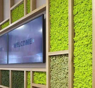 Preserved Reindeer Moss Wall Panels, Buy from USA, Canada, Australia, Singapore