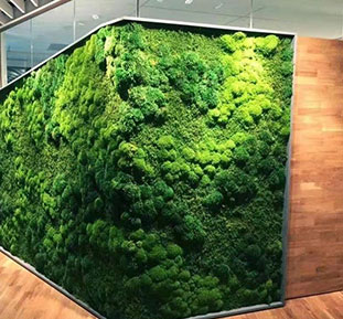 Buy wall decor, backgrounds, walls made of artificial moss and plants, UK, Norway, Qatar, UAE