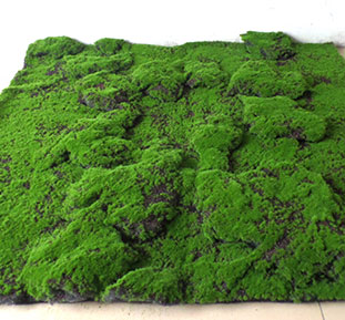 Decorative wall panels made of artificial moss, buy for restaurant interior