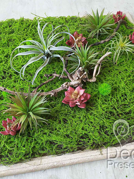 Buy a decorative background of artificial plants for a photo zone and photography