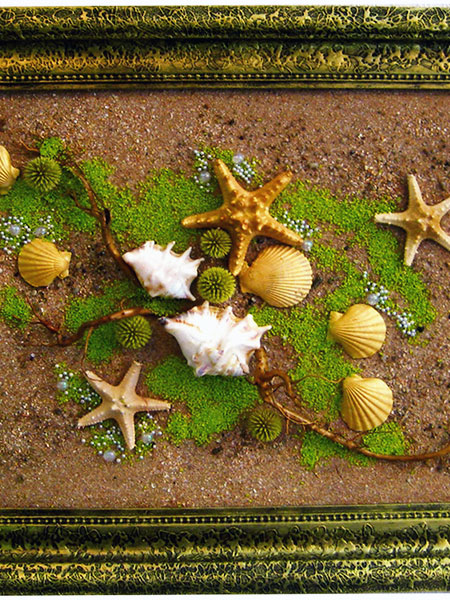 Decorative collage of natural seashells, buy for office reception