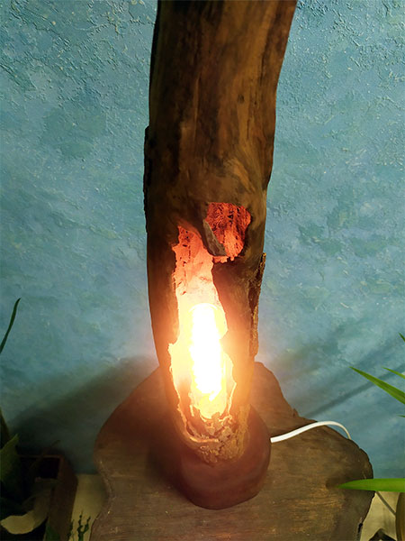 Buy Table lamp made of driftwood, USA, Canada, Australia